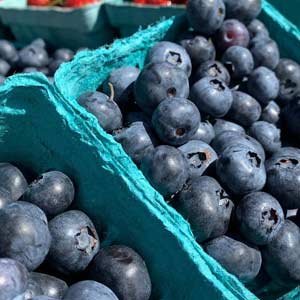 Blueberries in packs