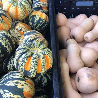 Gourds and butternut squash