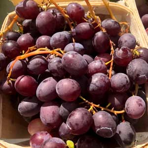 Purple grapes in packs