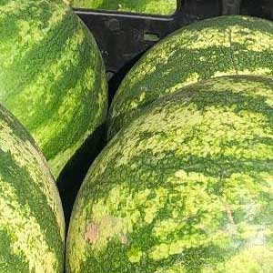 Close up Watermelons