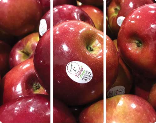 Shiny red apples with sticker labels